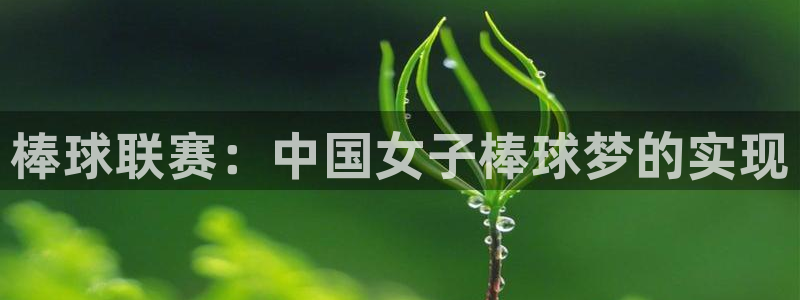 棒球联赛：中国女子棒球梦的实现