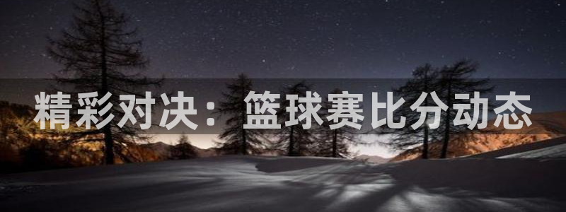 精彩对决：篮球赛比分动态