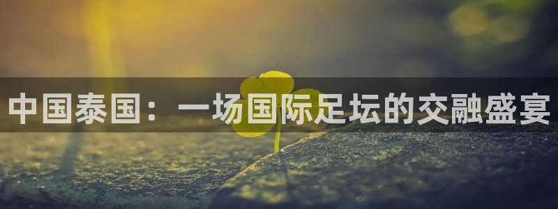 中国泰国：一场国际足坛的交融盛宴