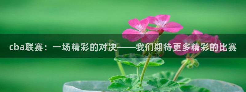 cba联赛：一场精彩的对决——我们期待更多精彩的比赛