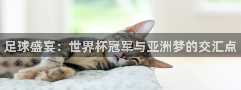 足球盛宴：世界杯冠军与亚洲梦的交汇点