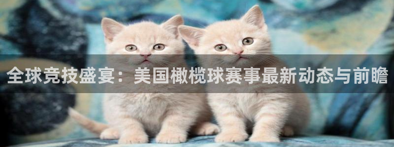 全球竞技盛宴：美国橄榄球赛事最新动态与前瞻