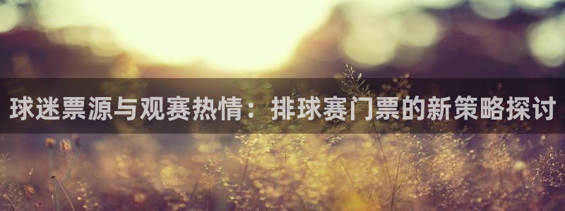 球迷票源与观赛热情：排球赛门票的新策略探讨