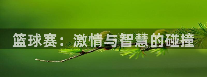 中欧体育登录入口网页版平台下载：篮球赛：激情与智慧的碰撞