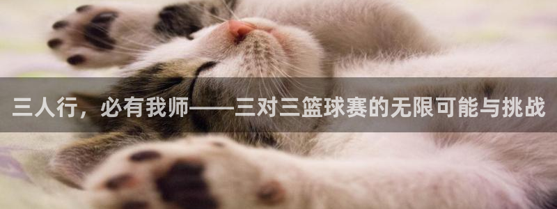 中欧体育改名了吗最新消息：三人行，必有我师——三对三篮球赛的