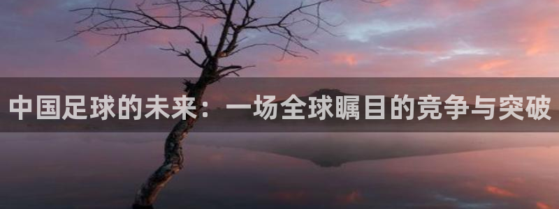 中欧体育官方平台下载：中国足球的未来：一场全球瞩目的竞争与突