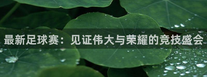 中欧体育平台联系方式是什么：最新足球赛：见证伟大与荣耀的竞技