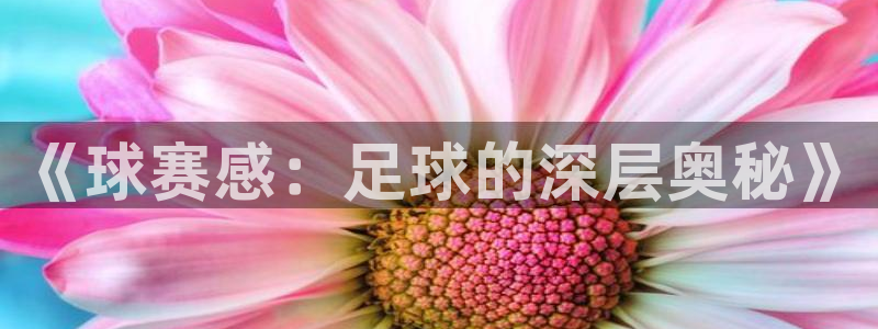 中欧体育官网下载手机版：《球赛感：足球的深层奥秘》