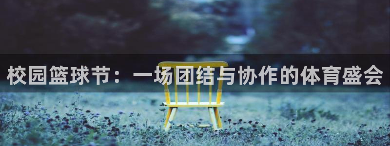 中欧体育老网站是什么：校园篮球节：一场团结与协作的体育盛会