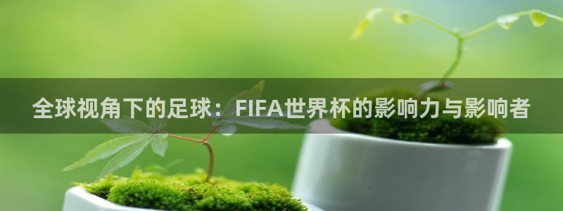 中欧体育在线登录入口官网网址是什么：全球视角下的足球：FIF
